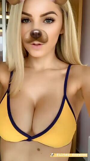 Dog filter