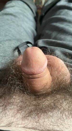 Cum Haters Big Dick Cock Horny