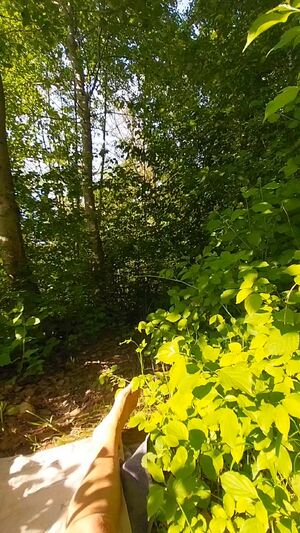 Gay Outdoors Cock Erection Jerk Off