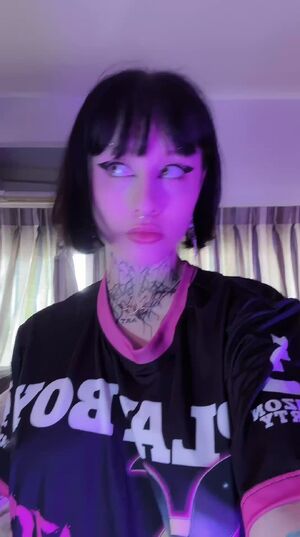 excepted gothicc surprise