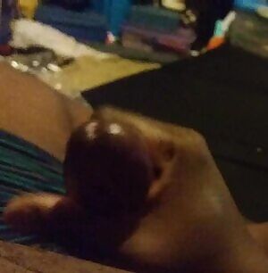 Wasted. This needed a mouth