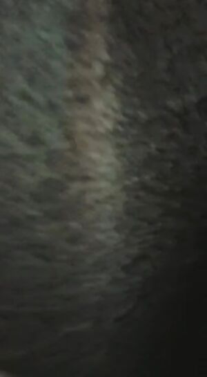 holdthemoan - Pussy in the pub