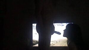 look at the cute penguins