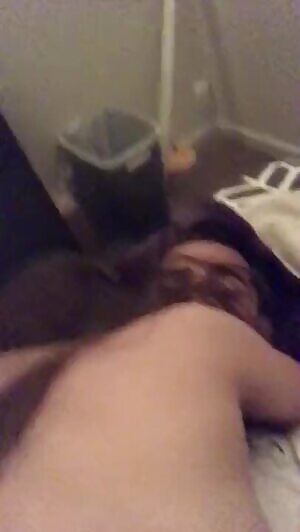 Alpha Phi Girl Rides Cock