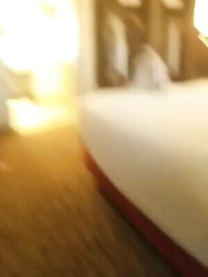 HotAss Hollywood Showing Off The Thickness