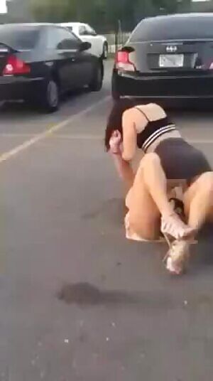 Everyone Loves A Good Cat Fight Sometimes