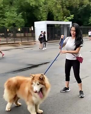 that's a huge dog :D