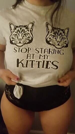 Stop staring at my kitties...