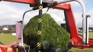 Hmmm... food for thought...