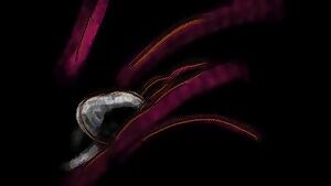 animated this during quarantine