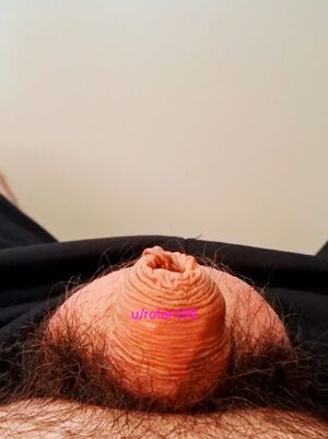 Solo Furries Fantasy Toys Foreskin Male Masturbation