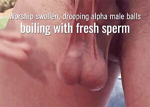 Alpha studs have countless loads of cum brewing in their massive bull balls 💋 ~ MistressStella.com