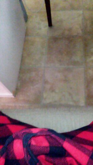 Morning Surprise :) Almost popped...😬