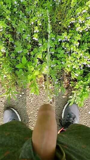 Watering the flowers