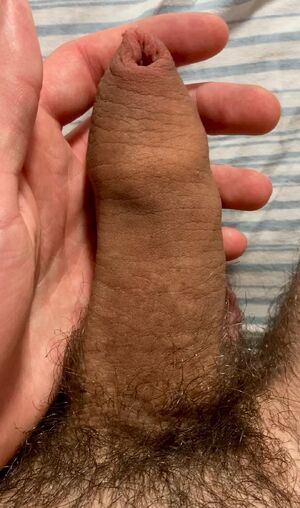 Foreskin Amateur Close Up Cock Solo