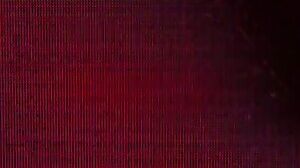 Private Party Part 2 - with Ana Foxxf