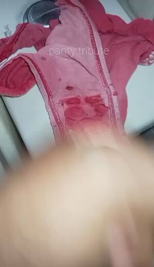 Panty Stuffing Cum Handjob Masturbating Pantyjob