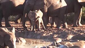 When you’re 5’8 but have a big ole dick