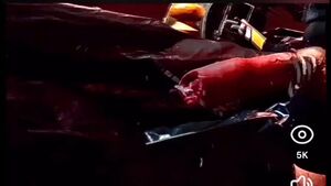 Pumped Up Cocks Amateur Cum Cumshot