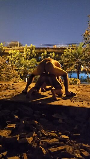 Outdoor Showcase Bareback Gay Sex r/FuckOutdoors