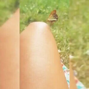 Lucky butterfly