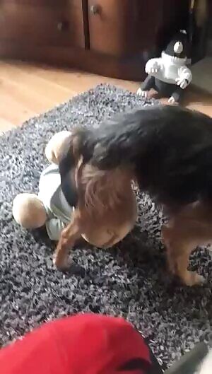 I've never seen anything so British.