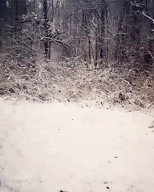 A Snow Angel Appears!