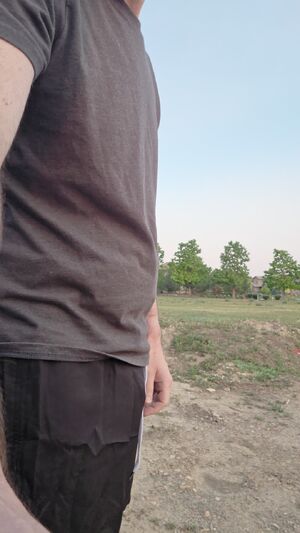 Daring Naked Guys Exposed Hairy Public