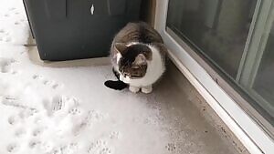 I need someone's dad on my dick rn