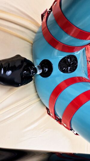 Shiny Anal Dildo Latex OnlyFans