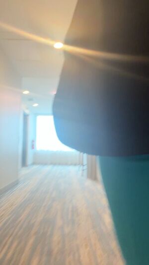 Upskirt Tease Ass Butt Plug Buttplug