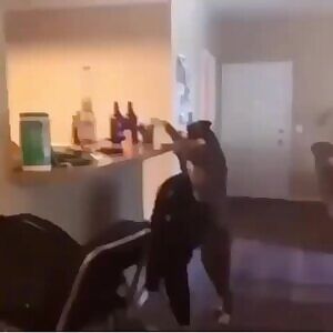 Who's a good boy!!!????