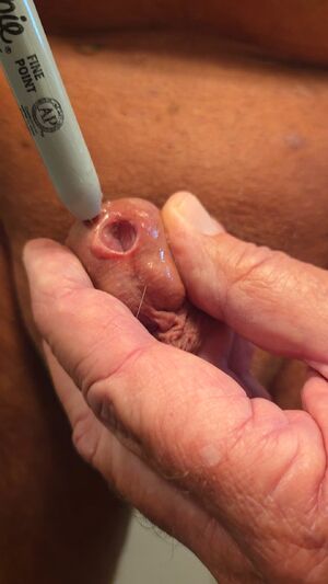 Average Cut Cocks Circumcised Cock Edging