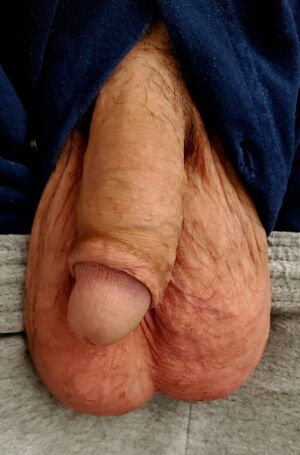 Ball Worship Ballbusting Ballplay Balls Cock