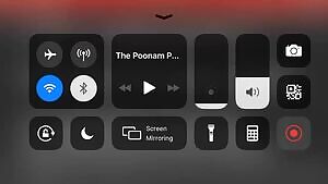 Poonam pandey in wankhede stadium