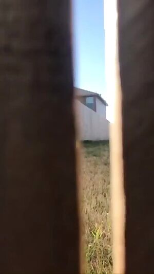 Wonder if the neighbors saw