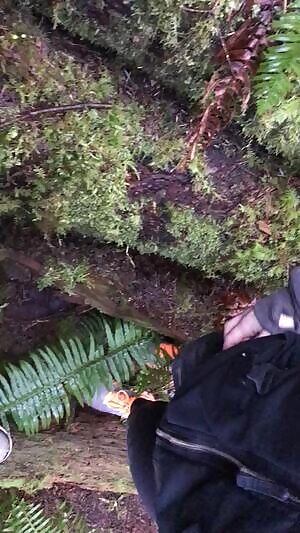 Had to make a pit stop during our hike yesterday. Who wants to see more from our forest fuck?