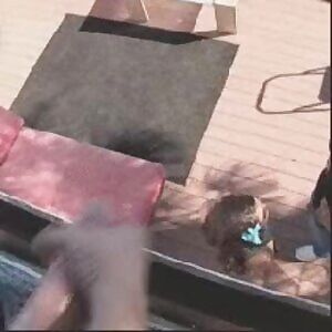 Surprise Rain of Cum