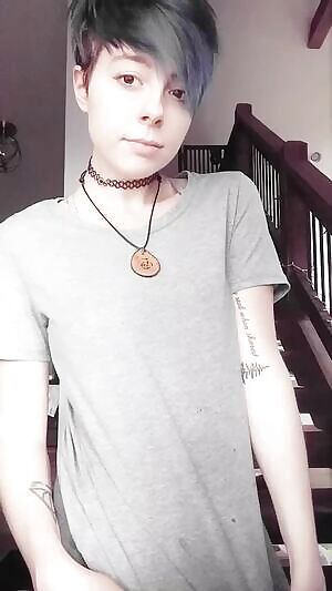 I'm back to doing ! Entertain me while I am home alone! Also offering