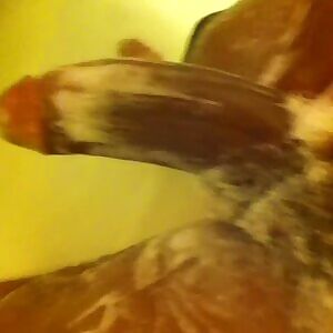 Low quality. Big soapy dick