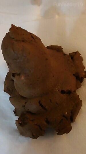 Video of after the poop while sitting down