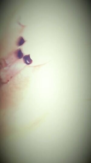 B makes me cum then keeps fucking my ass. Xx