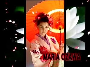 The most beautiful geisha