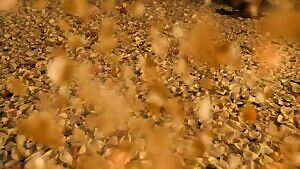 Viva Bianca in Spartacus War of the Damned