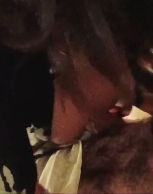 Hot Pakistani Freaks Amateur Big Tits