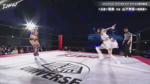 Female Wrestling Underwear