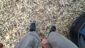 Gay Otters Homemade Outdoor Piss Pissing