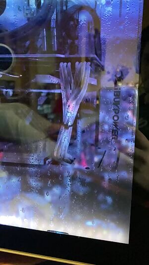 Is it too straight forward if I say that I love my ass eaten?