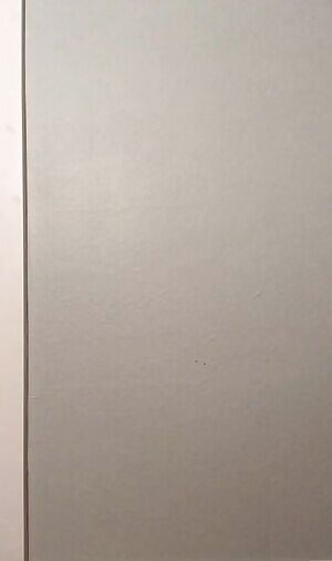 Do bulge gifs count?