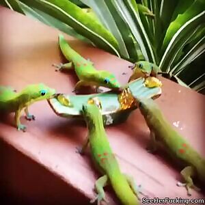 I'd love to see what this would feel like